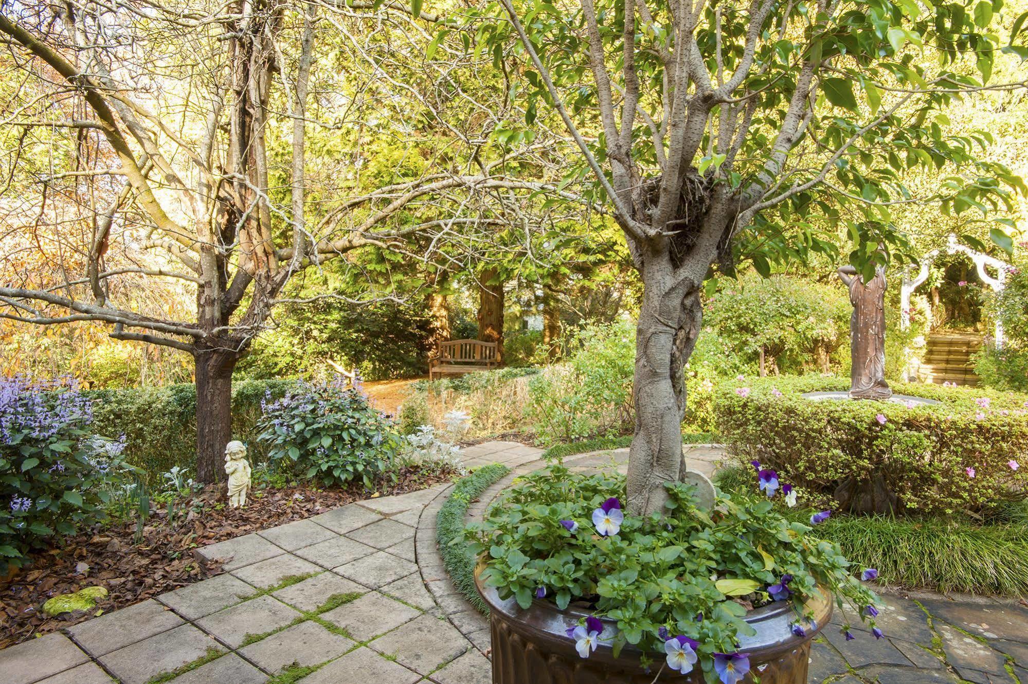 Clarendon Cottages Sassafras Exterior foto